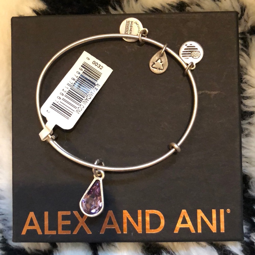 Alex and Ani Light Amethyst Crystal Bracelet